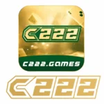 C222 Game